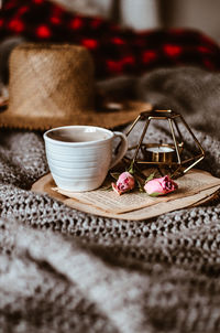 Close-up of potted plant on table