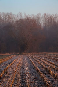 Scenic view of land against sky during winter