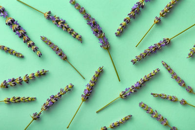 High angle view of thumbtacks on white background