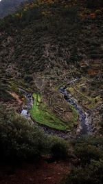 High angle view of land and trees in forest