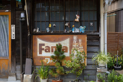 Potted plants in front of store