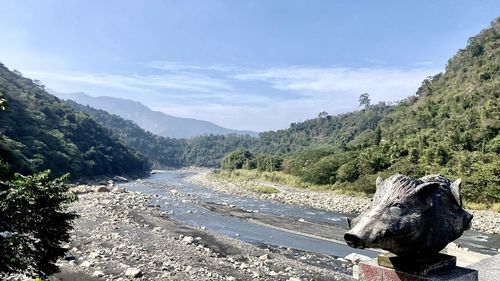 wilderness