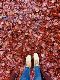 Low section of person standing on autumn leaves