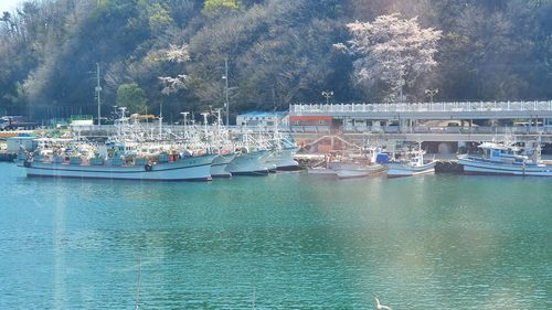 Boats in marina