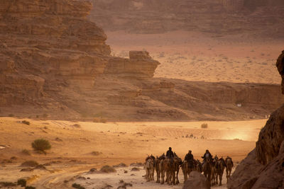 People riding camels at desert