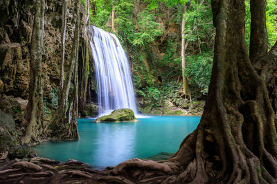 Scenic view of waterfall in forest