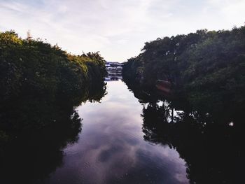 Reflection of trees in water against sky