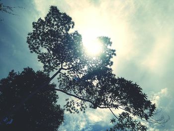 Low angle view of trees against cloudy sky