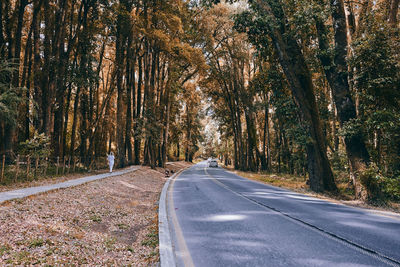 Road amidst trees in forest