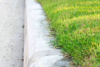 Close-up of footpath