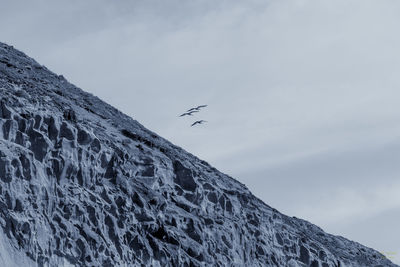 Low angle view of airplane flying in sky