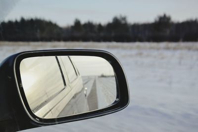Reflection of trees on side-view mirror