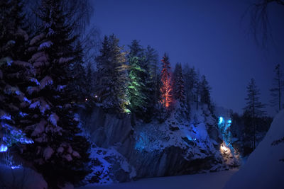 Trees on snow covered mountain against sky at night