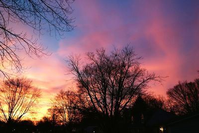 Silhouette of bare tree against sunset sky