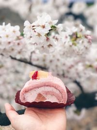 Cropped image of hand holding dessert in paper plate