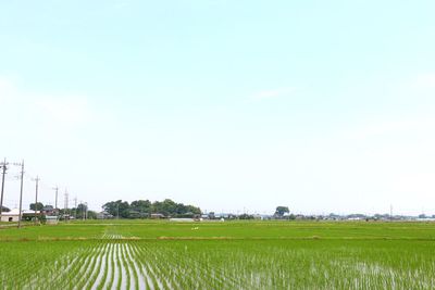Scenic view of rural landscape