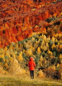 Rear view of person in red jacket standing by trees during autumn