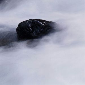 View of snow covered landscape