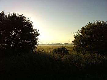 Scenic view of grassy field against sky