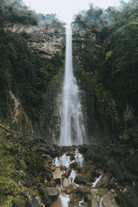 Scenic view of waterfall in forest