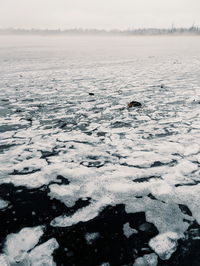 Scenic view of frozen sea against sky