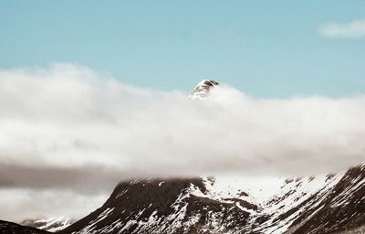 High angle view of an animal on snowcapped mountain