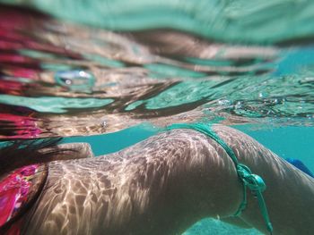 Midsection of woman swimming in pool