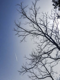 Low angle view of silhouette bare tree against clear blue sky