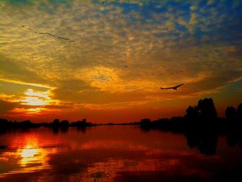 Bird flying over lake at sunset