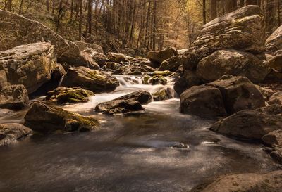 Stream flowing through rocks in forest