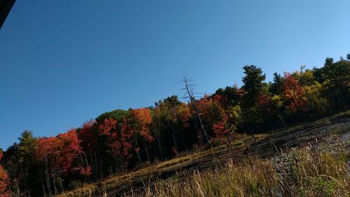 Scenic view of landscape against clear blue sky