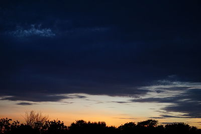 Silhouette of trees at sunset