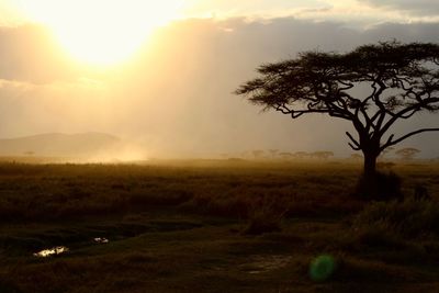 Scenic view of field against sky during sunset