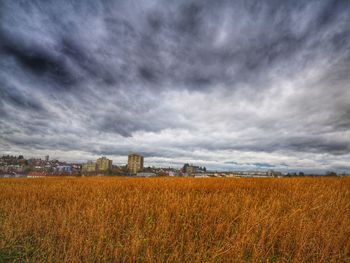 Scenic view of field against sky