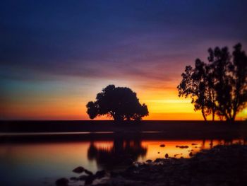 Silhouette of trees at sunset