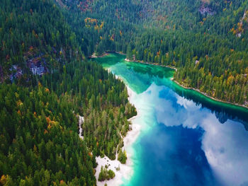 High angle view of lake amidst trees in forest