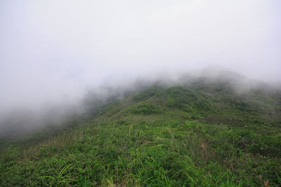 Scenic view of field against sky during foggy weather