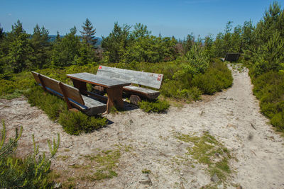 Wooden bench on field by trees