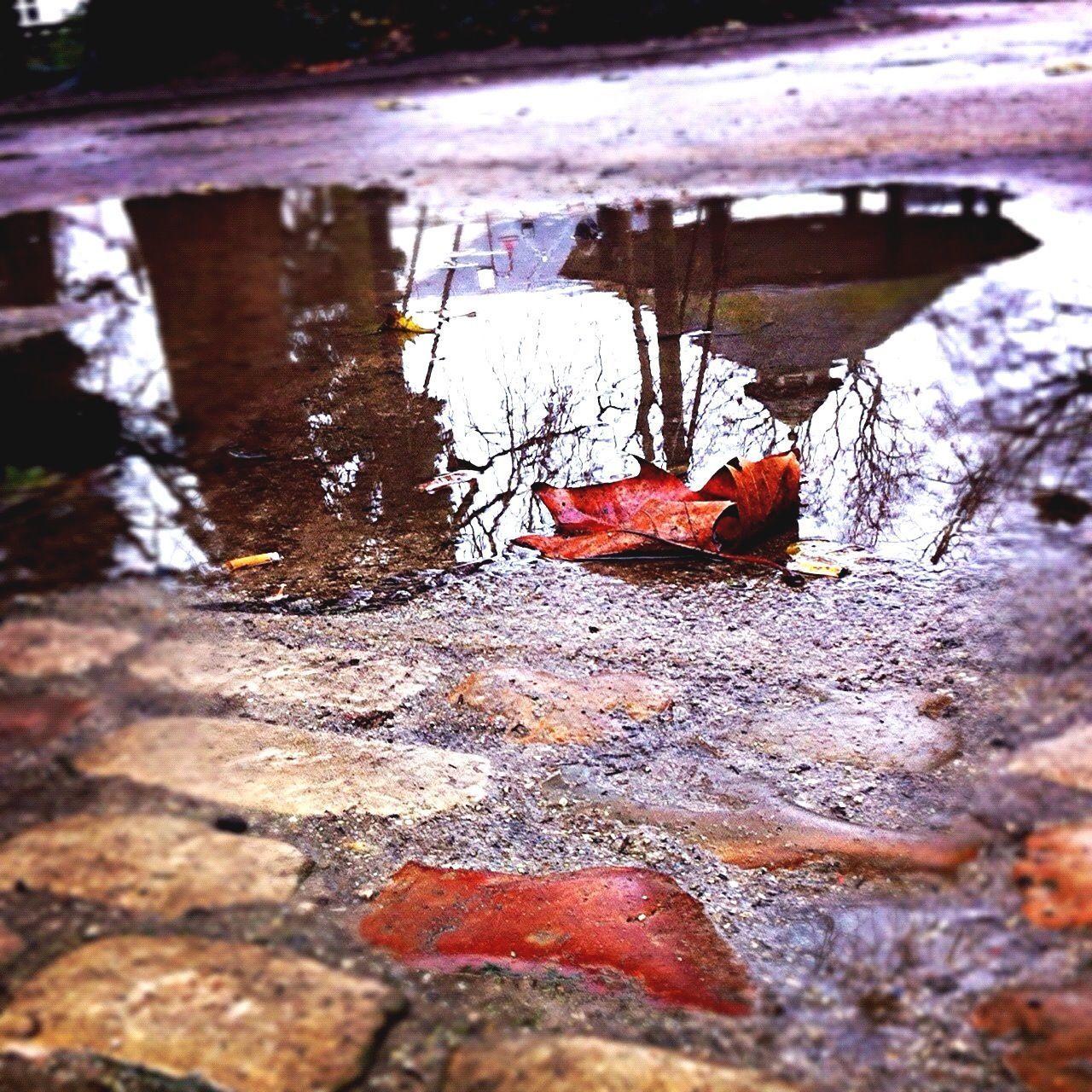 water, reflection, built structure, damaged, red, abandoned, weathered, architecture, close-up, deterioration, day, wall - building feature, selective focus, outdoors, old, no people, run-down, obsolete, rock - object, wet