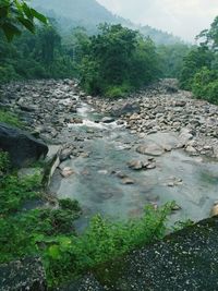 Stream flowing through rocks in forest