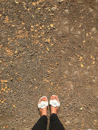 Low section of woman standing on ground