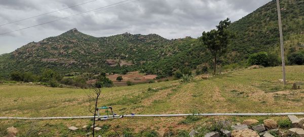 Scenic view of field against sky