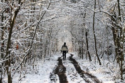 Rear view of man walking on snow covered forest