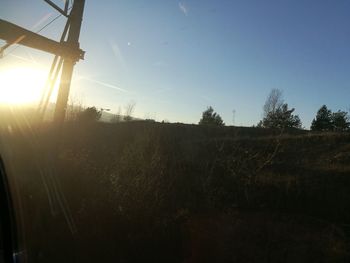 Close-up of tree against sky