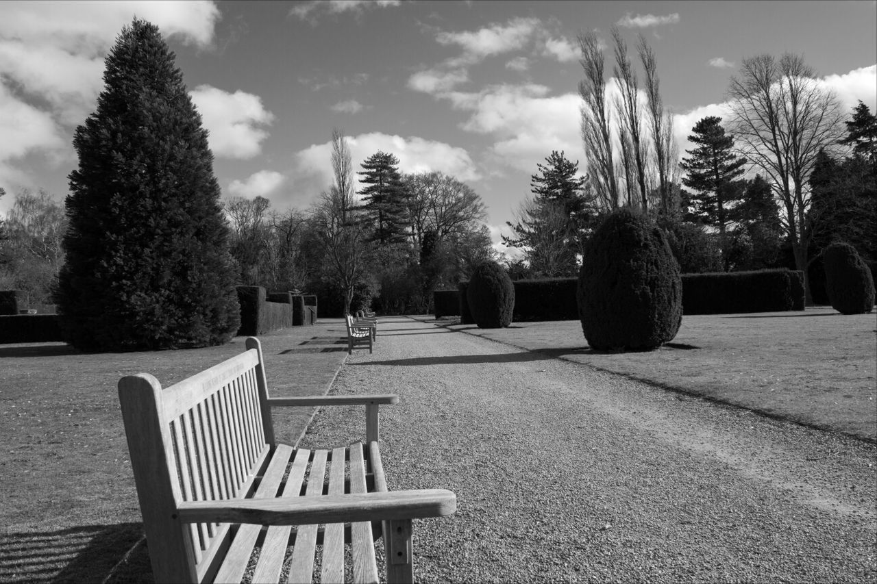 tree, empty, bench, sky, the way forward, tranquility, absence, shadow, chair, tranquil scene, park - man made space, sunlight, nature, growth, seat, park bench, relaxation, walkway, footpath, day