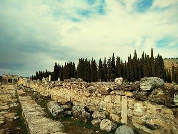 Trees growing by old ruins against cloudy sky