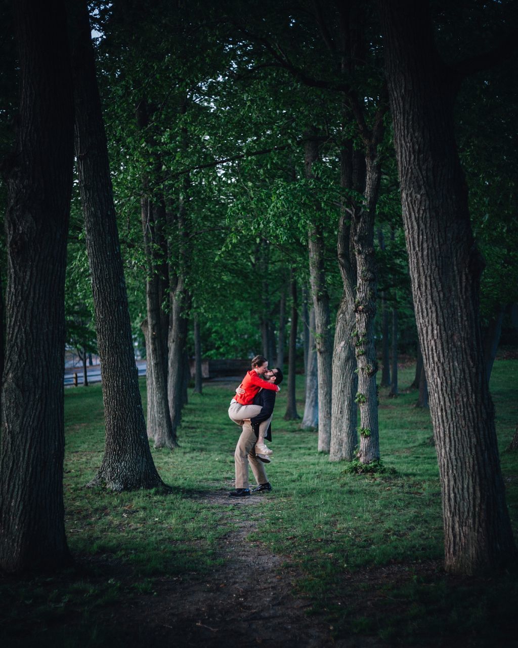 tree, full length, lifestyles, leisure activity, rear view, tree trunk, men, growth, walking, casual clothing, person, forest, green color, nature, park - man made space, the way forward, grass