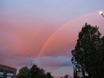 Low angle view of rainbow over trees against sky