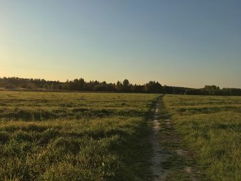 Scenic view of field against clear sky