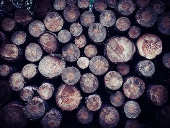 Stack of logs